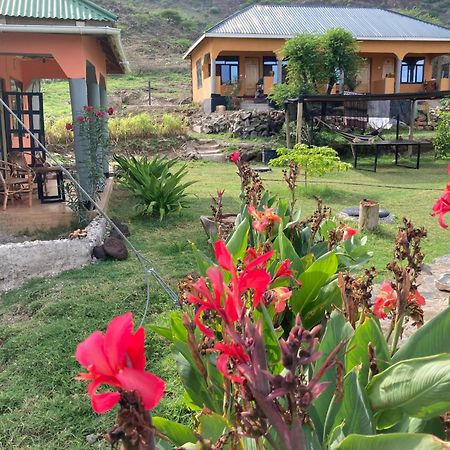 Lake Natron Maasai Guesthouse Mtowabaga Eksteriør billede