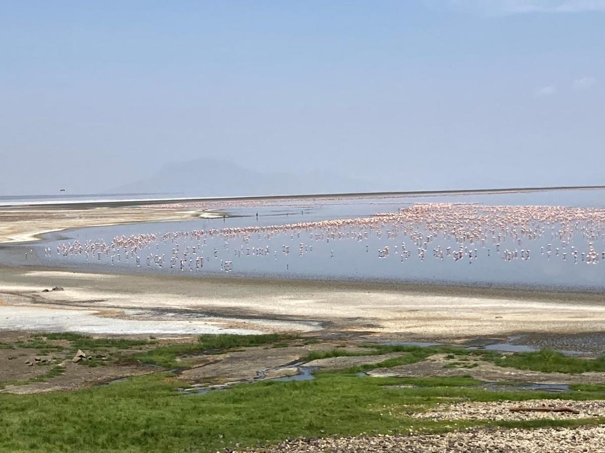 Lake Natron Maasai Guesthouse Mtowabaga Eksteriør billede