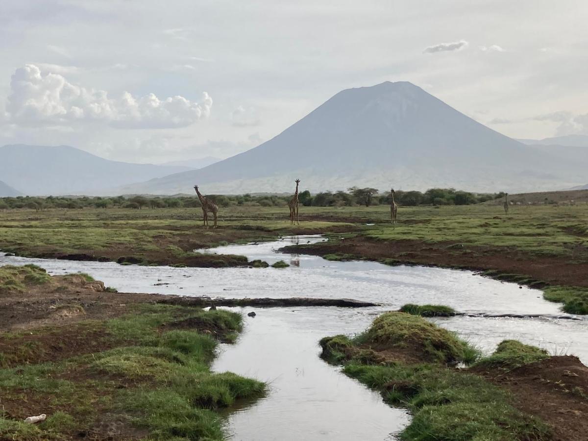 Lake Natron Maasai Guesthouse Mtowabaga Eksteriør billede