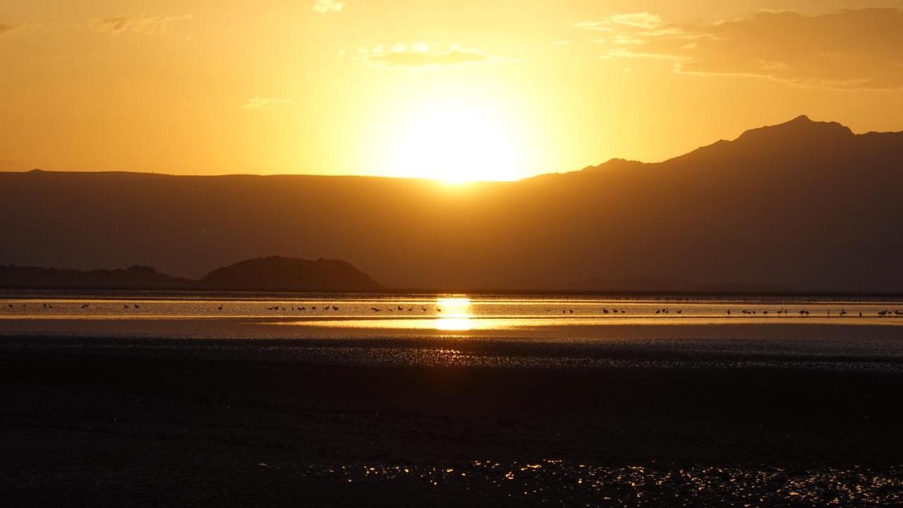 Lake Natron Maasai Guesthouse Mtowabaga Eksteriør billede